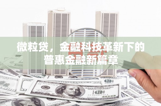 云霄微粒贷，金融科技革新下的普惠金融新篇章