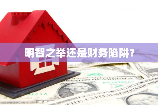 松滋明智之举还是财务陷阱？