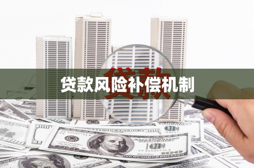 布拖贷款风险补偿机制