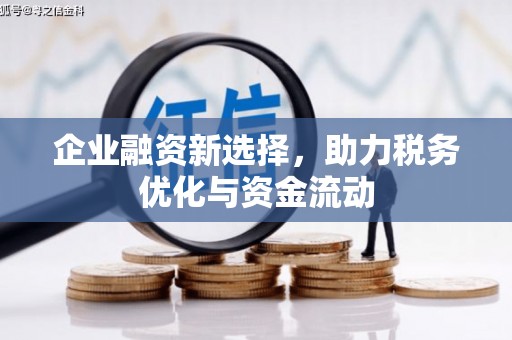 黄南企业融资新选择，助力税务优化与资金流动
