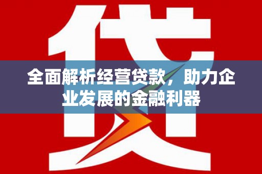 狮子全面解析经营贷款，助力企业发展的金融利器