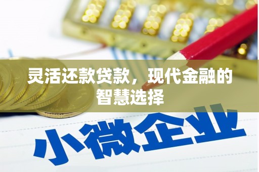 盐田灵活还款贷款，现代金融的智慧选择