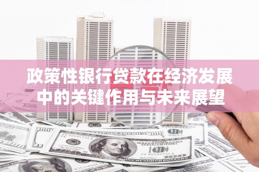 灵石政策性银行贷款在经济发展中的关键作用与未来展望