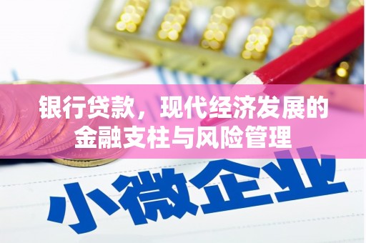 澜沧银行贷款，现代经济发展的金融支柱与风险管理