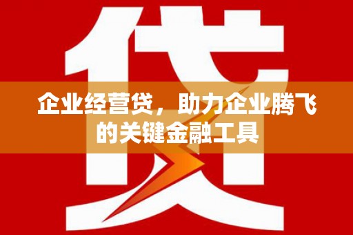 西夏企业经营贷，助力企业腾飞的关键金融工具