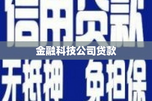 西陵金融科技公司贷款