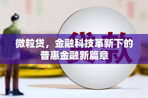 全南微粒贷，金融科技革新下的普惠金融新篇章