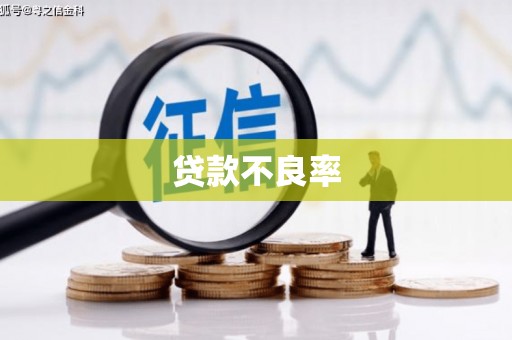 嵊州贷款不良率