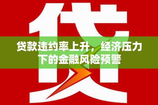 汝南贷款违约率上升，经济压力下的金融风险预警