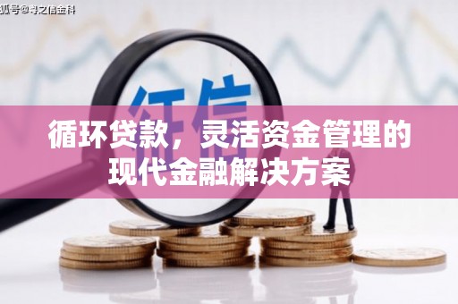 万里循环贷款，灵活资金管理的现代金融解决方案