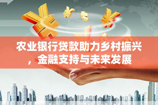 濮阳农业银行贷款助力乡村振兴，金融支持与未来发展