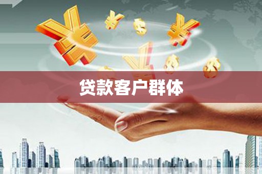 新野贷款客户群体