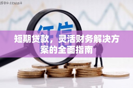 嘉禾短期贷款，灵活财务解决方案的全面指南