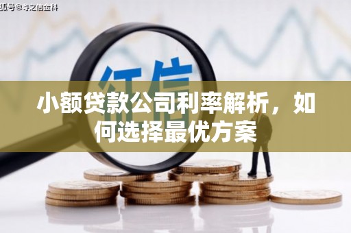 安定小额贷款公司利率解析，如何选择最优方案