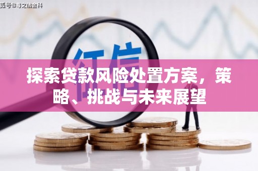 黔西探索贷款风险处置方案，策略、挑战与未来展望
