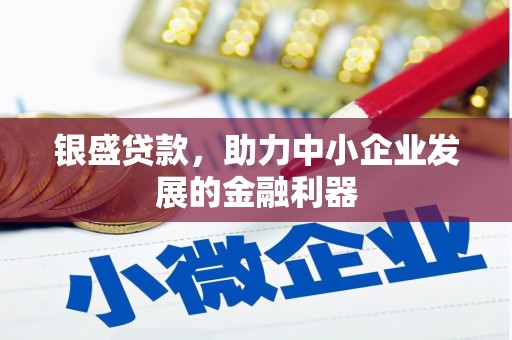 安康银盛贷款，助力中小企业发展的金融利器