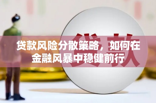 泉山贷款风险分散策略，如何在金融风暴中稳健前行