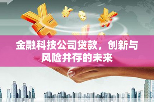 馆陶金融科技公司贷款，创新与风险并存的未来