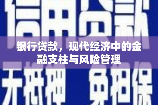 抚远银行贷款，现代经济中的金融支柱与风险管理