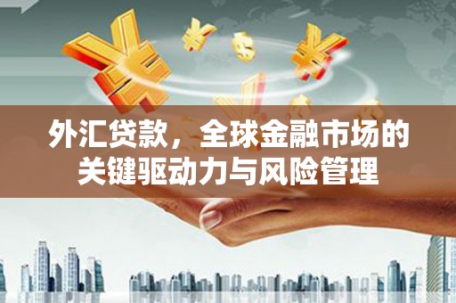 会理外汇贷款，全球金融市场的关键驱动力与风险管理
