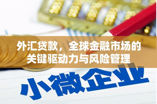 韩城外汇贷款，全球金融市场的关键驱动力与风险管理