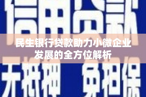 镇原民生银行贷款助力小微企业发展的全方位解析