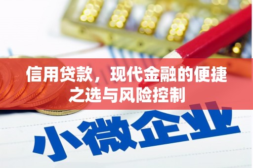 丽水信用贷款，现代金融的便捷之选与风险控制
