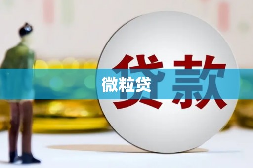 伍家岗微粒贷