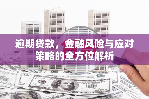 麦寮逾期贷款，金融风险与应对策略的全方位解析
