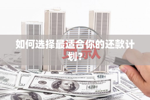 正安如何选择最适合你的还款计划？