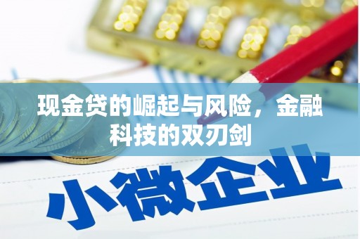 岳塘现金贷的崛起与风险，金融科技的双刃剑