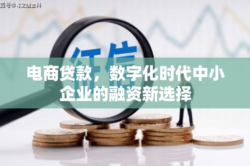 汉中电商贷款，数字化时代中小企业的融资新选择