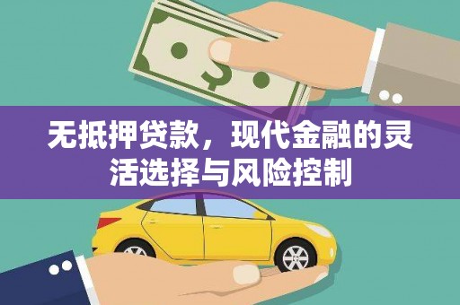 嵩县无抵押贷款，现代金融的灵活选择与风险控制