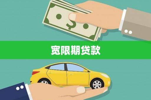 岱岳宽限期贷款