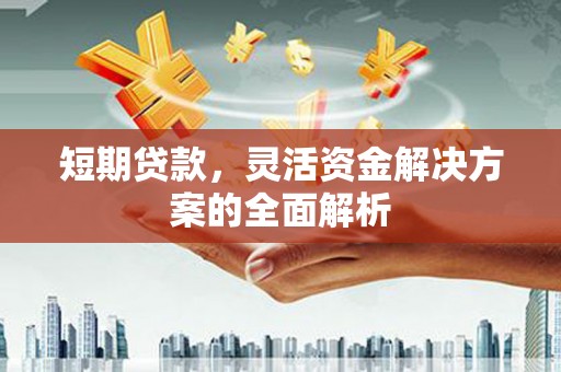 邵武短期贷款，灵活资金解决方案的全面解析