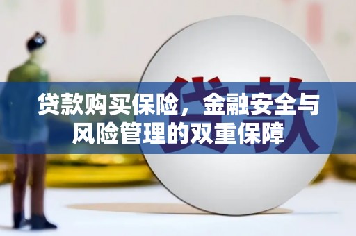 赤城贷款购买保险，金融安全与风险管理的双重保障