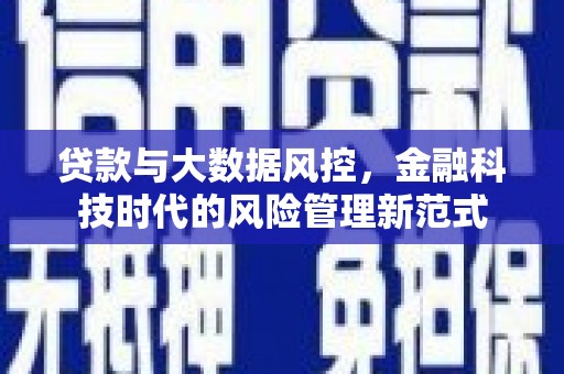 额济纳旗贷款与大数据风控，金融科技时代的风险管理新范式