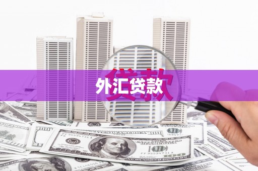 驻马店外汇贷款