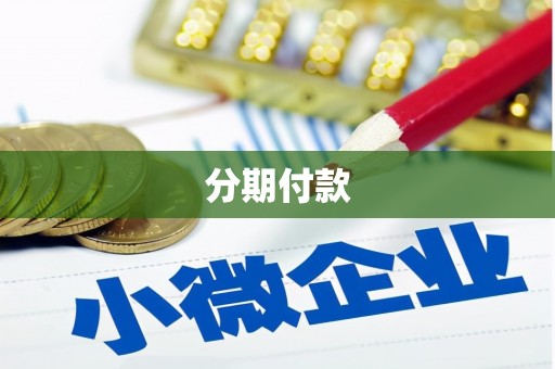 白山分期付款