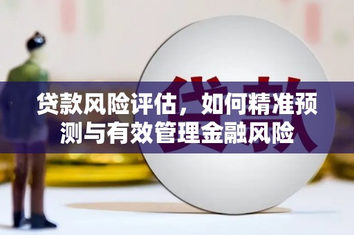 吴中贷款风险评估，如何精准预测与有效管理金融风险