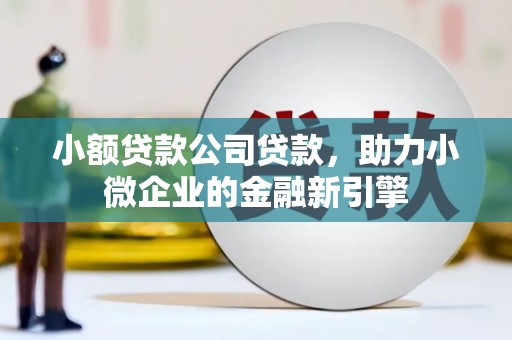札达小额贷款公司贷款，助力小微企业的金融新引擎