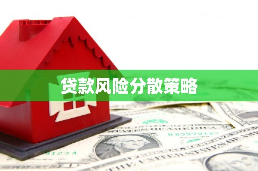 大丰贷款风险分散策略