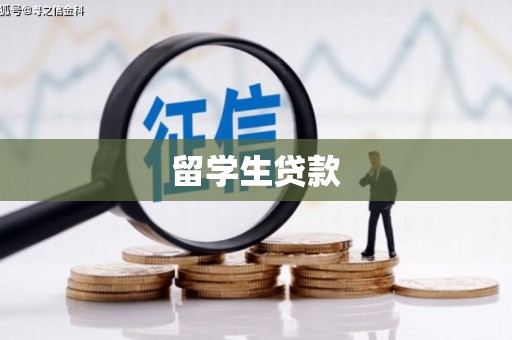盐津留学生贷款