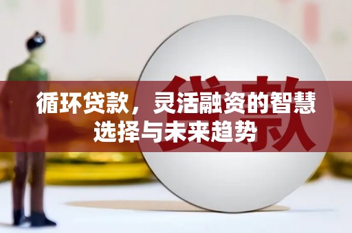 岑巩循环贷款，灵活融资的智慧选择与未来趋势