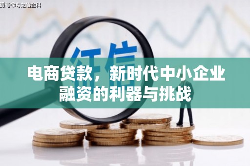 陵水电商贷款，新时代中小企业融资的利器与挑战