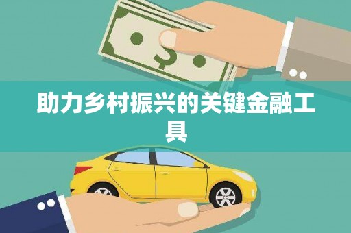 隆回助力乡村振兴的关键金融工具