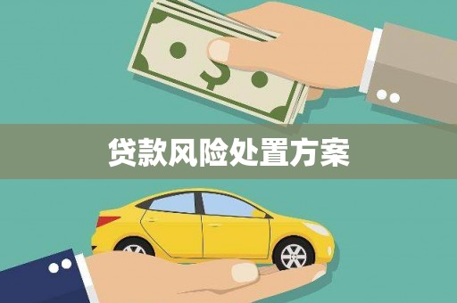 舞钢贷款风险处置方案