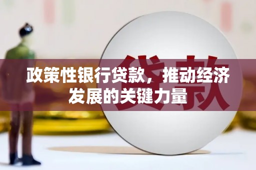 三亚政策性银行贷款，推动经济发展的关键力量