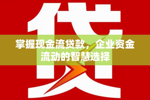 兰西掌握现金流贷款，企业资金流动的智慧选择