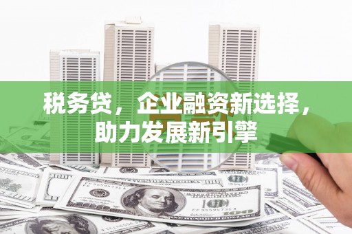 恒春税务贷，企业融资新选择，助力发展新引擎